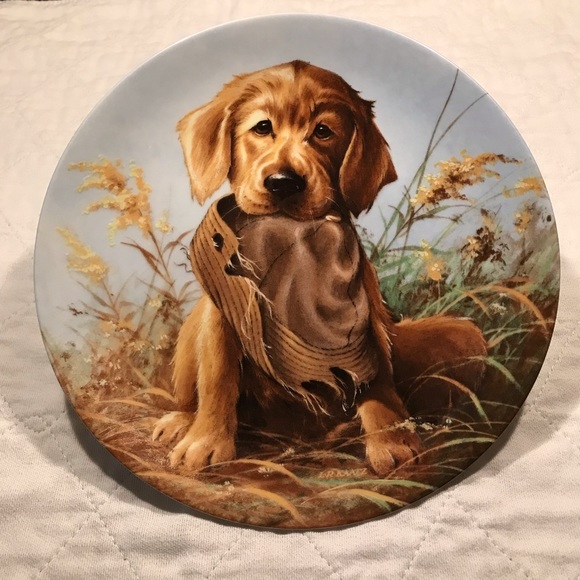golden retriever collector plates